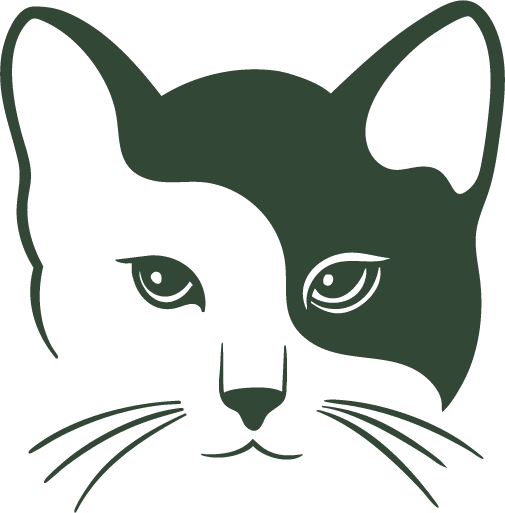 Tête individuelle chat vert foncé