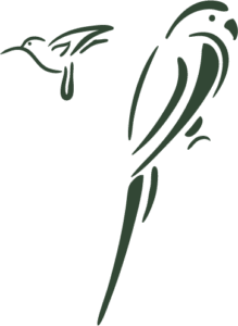 oiseaux